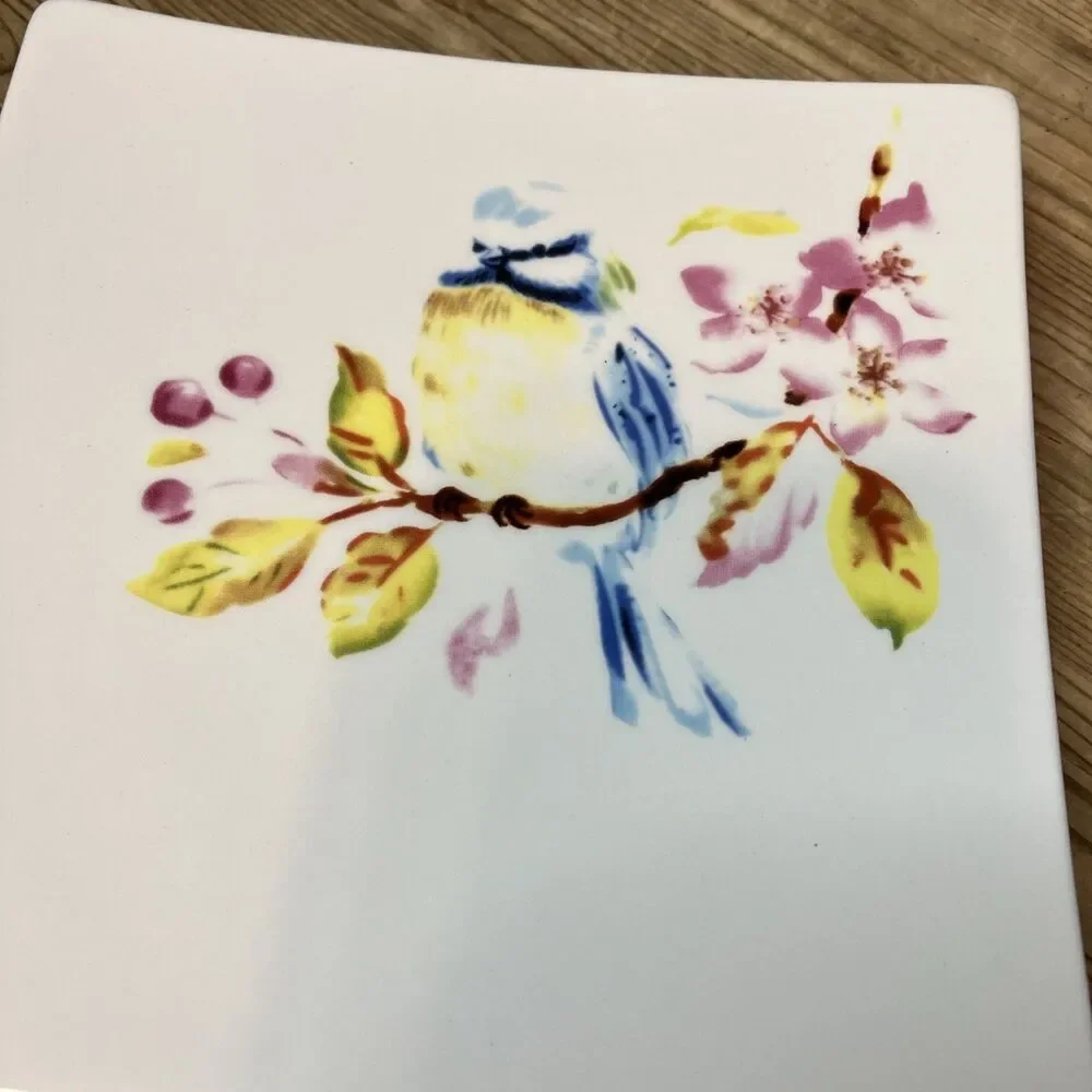 Pier 1 Bluebird Blue Jay Dolomite Dessert Plate/Trinket Dish 7” Square Discont.